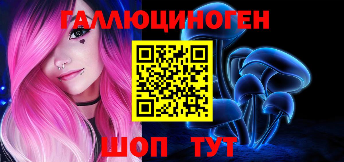 Псилоцибиновые грибы GOLDEN TEACHER  Вход с VPN  Псилоцибиновые грибы прущие грибы  Гай 