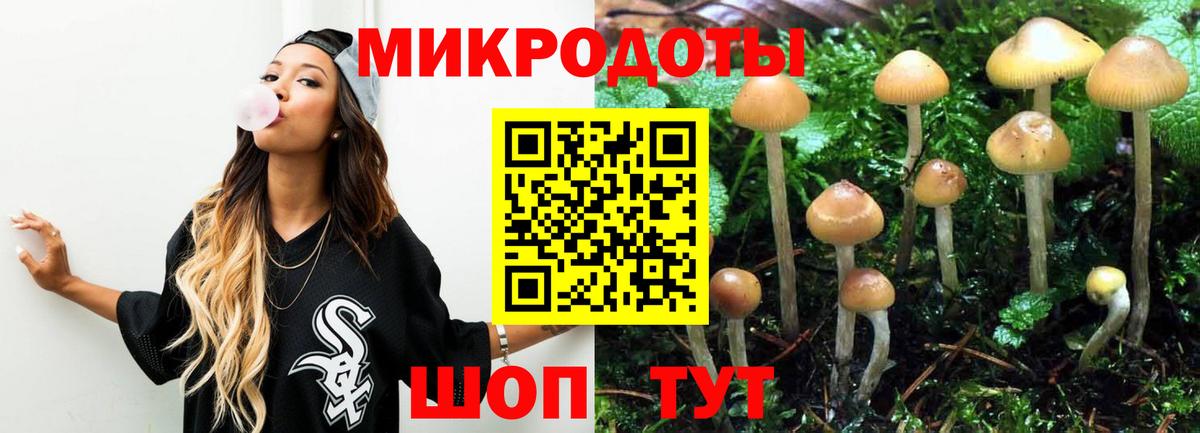 Галлюциногенные грибы Magic Shrooms Гай